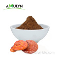 Lucidum Ganoderma Herb Lingzhi Extraktpulver